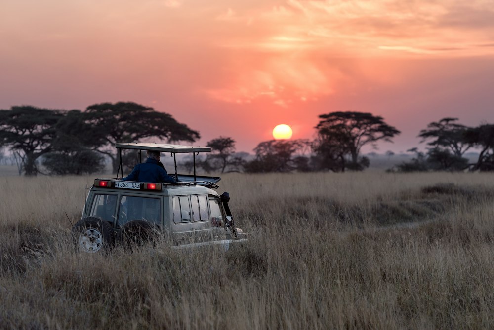 Nairobi City & Safari Escape